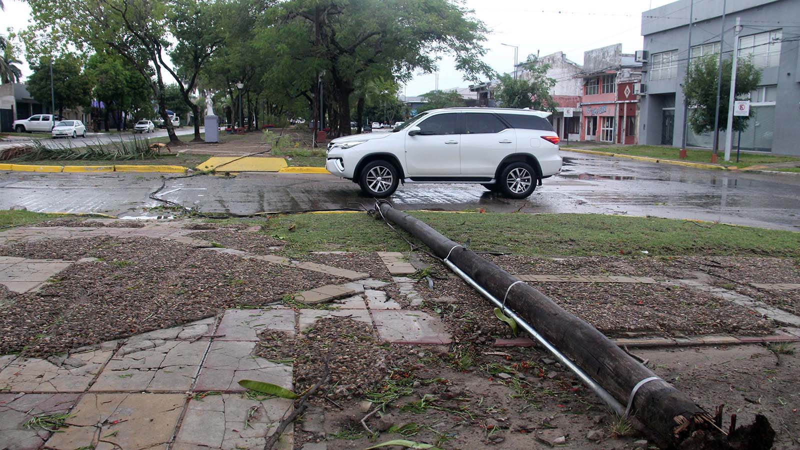 Un Temporal De Viento Lluvia Y Granizo Provocó Caída De árboles Y Voladuras De Techos Hoy Sur 3990